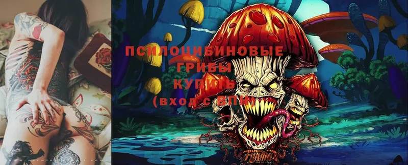 Галлюциногенные грибы Magic Shrooms  Киров 